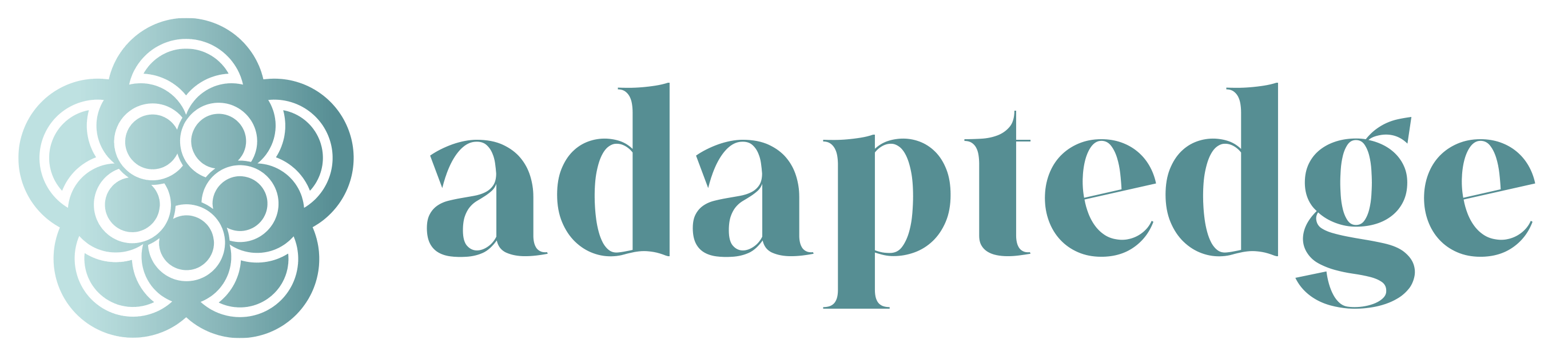 Adaptedge Consulting